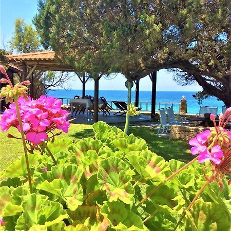 Genari Beach Apartments Levendokhorion Екстер'єр фото